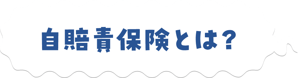 自賠責保険とは