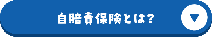 自賠責保険とは