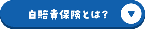 自賠責保険とは